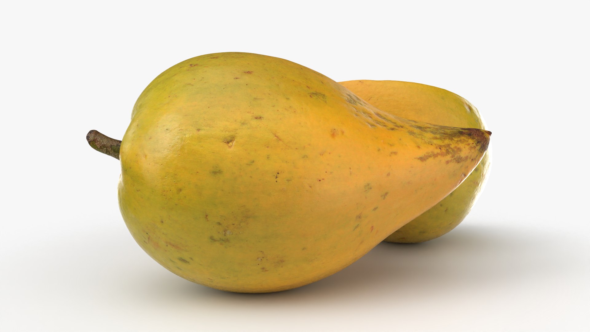 Egg Fruit model https://p.turbosquid.com/ts-thumb/og/wxza3p/5S/tiesa_0006/png/1783326181/1920x1080/fit_q87/479792795a544bc9380bbd280c6e8d9df5d3933b/tiesa_0006.jpg