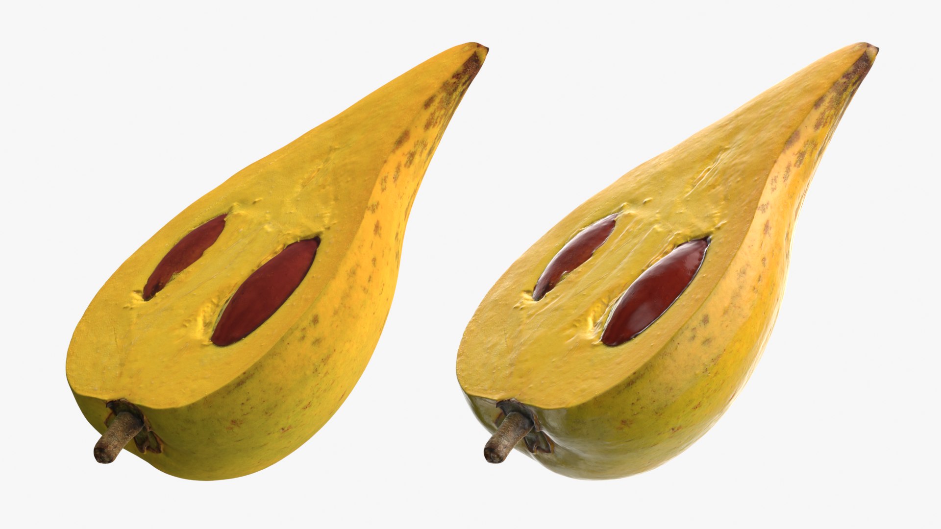 Egg Fruit model https://p.turbosquid.com/ts-thumb/og/wxza3p/Vs/tiesa_d0011/png/1783326196/1920x1080/fit_q87/2f941067d0877f266b1d75710540ef68bfd9d089/tiesa_d0011.jpg