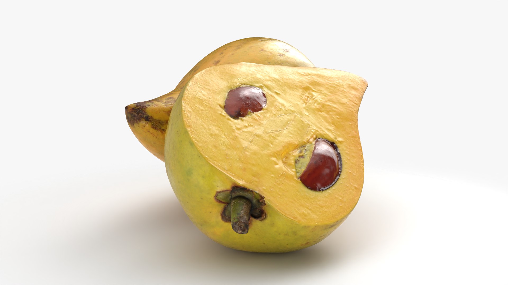 Egg Fruit model https://p.turbosquid.com/ts-thumb/og/wxza3p/dR/tiesa_0003/png/1783326172/1920x1080/fit_q87/41df34f8d990db6b4e7279e952150d5b432a33cf/tiesa_0003.jpg