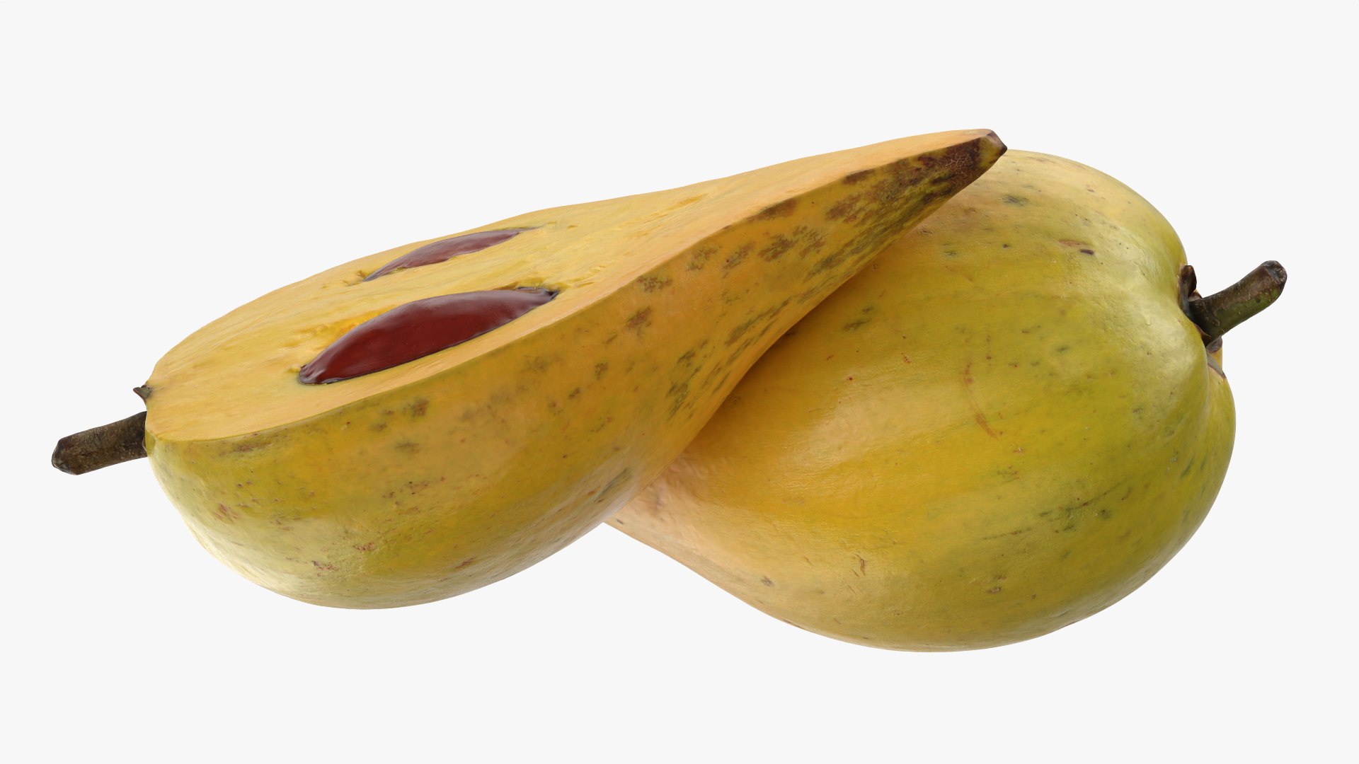Egg Fruit model https://p.turbosquid.com/ts-thumb/og/wxza3p/eK/tiesa_0009/png/1783326191/1920x1080/fit_q87/c44614878645fe781902872538b480acd17f8fa2/tiesa_0009.jpg