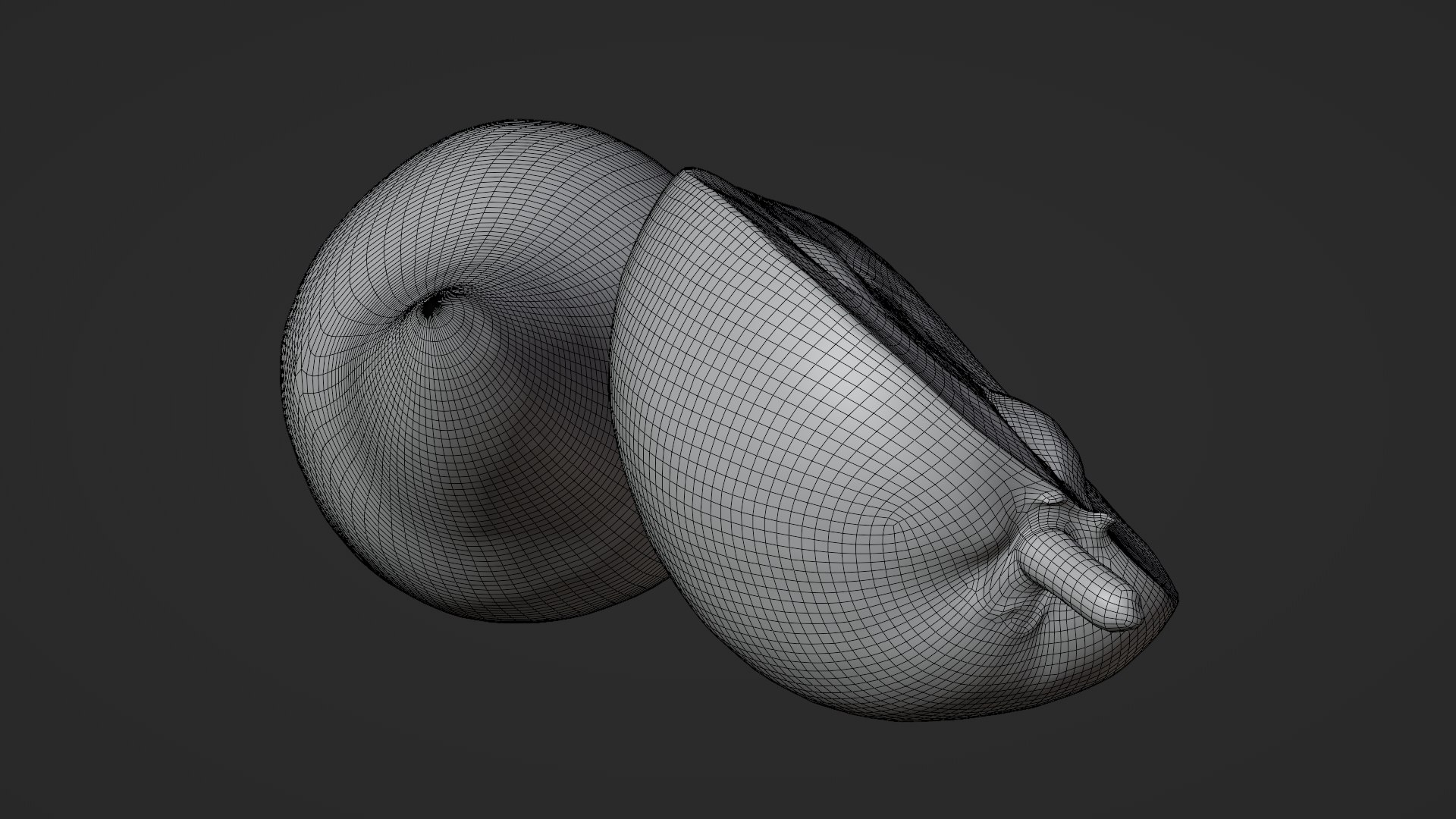 Egg Fruit model https://p.turbosquid.com/ts-thumb/og/wxza3p/f9/tiesa_d0007/png/1783326196/1920x1080/fit_q87/7abb2de22d935ddb85435a162b06d20626297476/tiesa_d0007.jpg