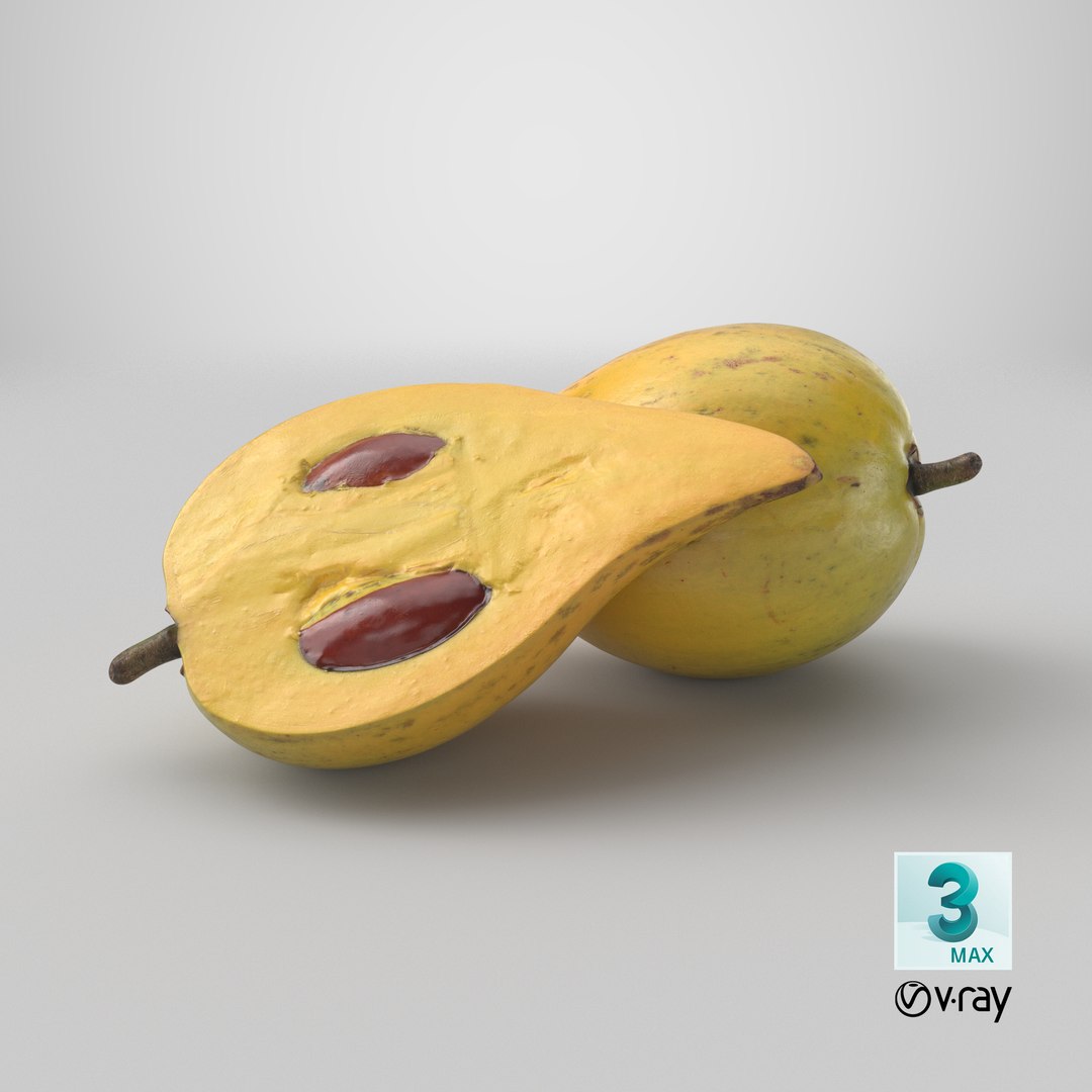 Egg Fruit model https://p.turbosquid.com/ts-thumb/og/wxza3p/rt/stemcell_max_vray_render/png/1783624689/1920x1080/fit_q87/0e3c2eb2720a1dc185a3b226052a0154645baf93/stemcell_max_vray_render.jpg
