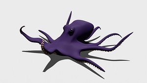 Free 3D Octopus Models | TurboSquid