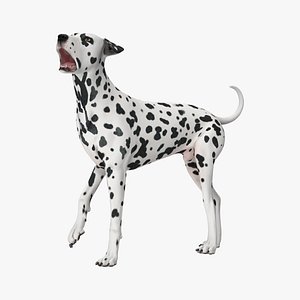 Spotted Dalmatian Dog Rigged for Maya 3D model