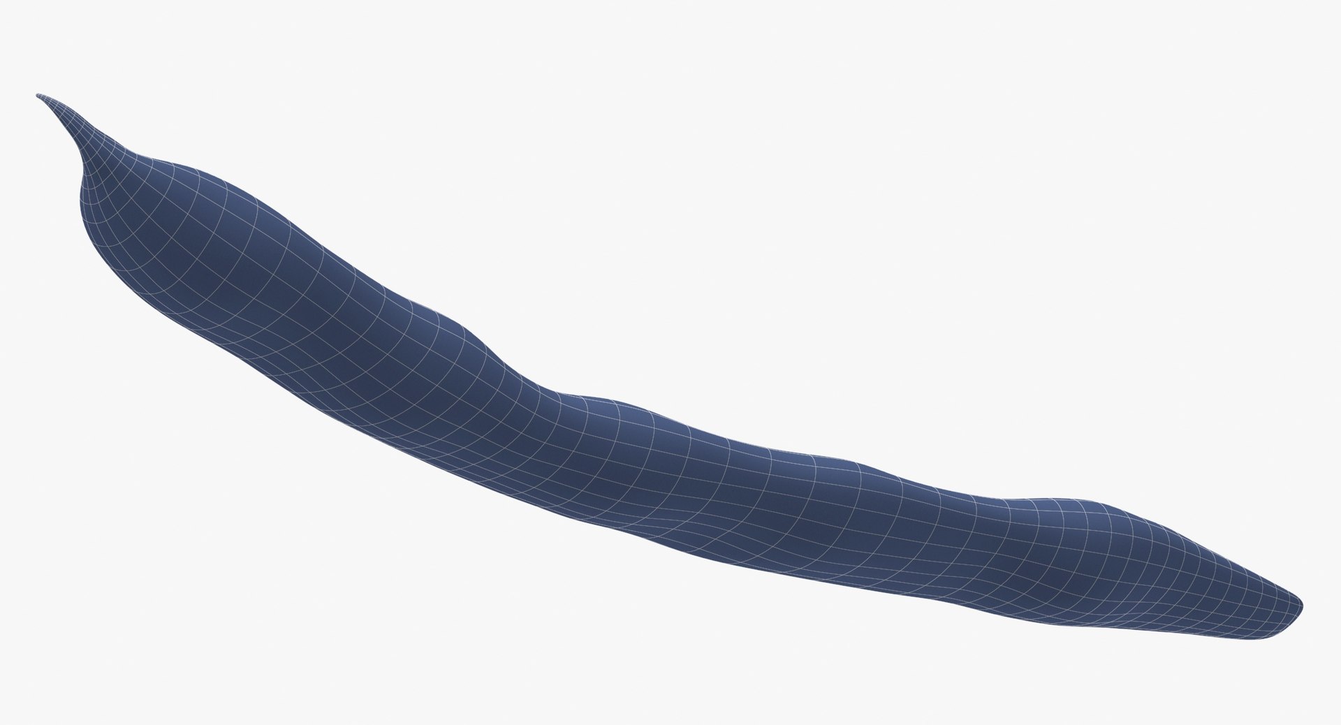Green Beans 01 3D model https://p.turbosquid.com/ts-thumb/og/zGhdCx/9t/green_beans_01_wireframe_0007/jpg/1678372909/1920x1080/fit_q87/5eea79815c71d0591e60fd0fa2b925fa0216577c/green_beans_01_wireframe_0007.jpg
