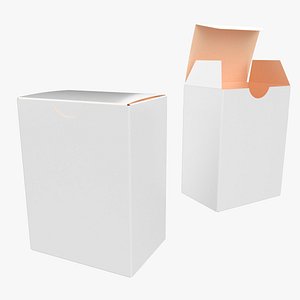 10cm Tall Paper Box Closed Opened Unwrapped 3D