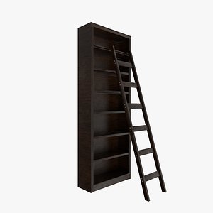3D Bookshelf with Ladder