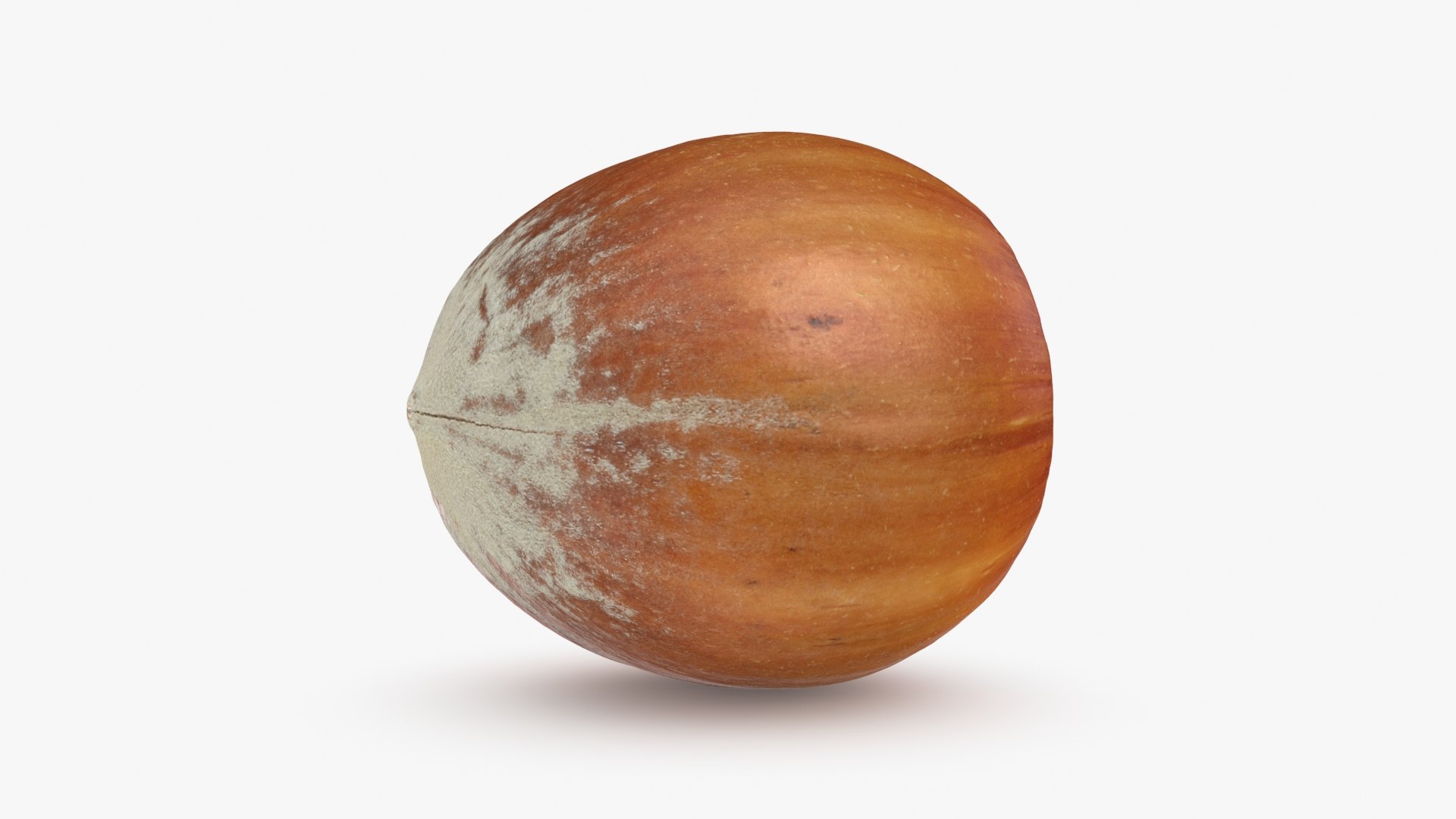 Hazelnut in Shell 04 3D model https://p.turbosquid.com/ts-thumb/oh/DHNqkW/6k/hazelnutshell04_b0000/jpg/1728475234/1920x1080/fit_q87/4621f0e56cb54de0f809b5002e89d495595b73f9/hazelnutshell04_b0000.jpg