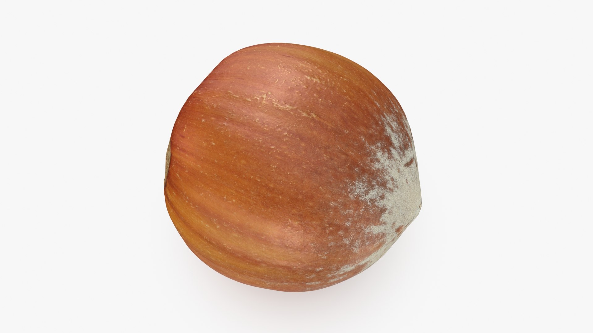 Hazelnut in Shell 04 3D model https://p.turbosquid.com/ts-thumb/oh/DHNqkW/7R/hazelnutshell04_b0002/jpg/1728475235/1920x1080/fit_q87/ed0a9941be5d9e9a2fdf692b0f68f5aeaf881c5a/hazelnutshell04_b0002.jpg