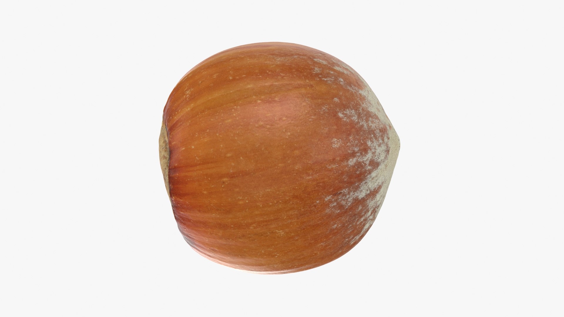 Hazelnut in Shell 04 3D model https://p.turbosquid.com/ts-thumb/oh/DHNqkW/Nn/hazelnutshell04_b0022/jpg/1728475243/1920x1080/fit_q87/846f65a76a263af97e1b687f76d06296500bfa80/hazelnutshell04_b0022.jpg