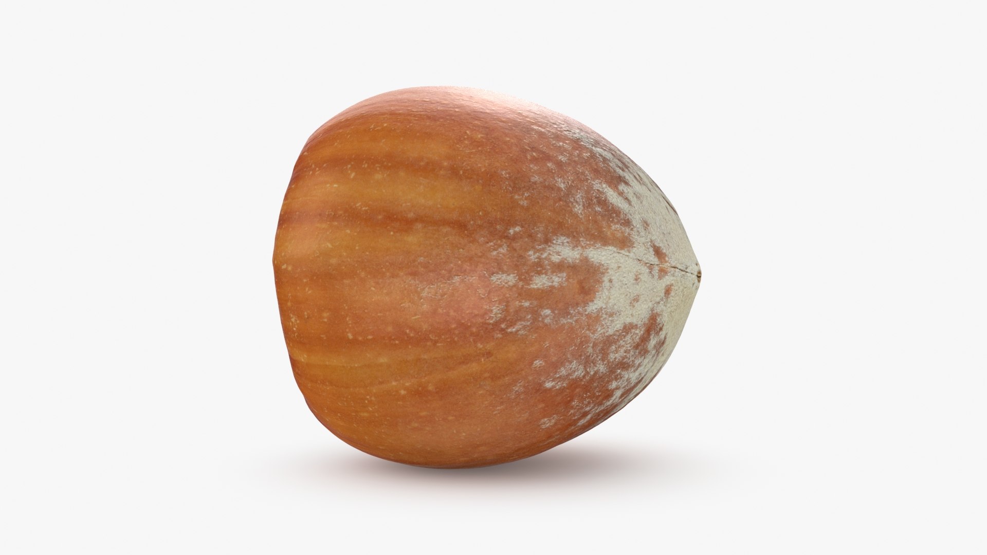 Hazelnut in Shell 04 3D model https://p.turbosquid.com/ts-thumb/oh/DHNqkW/cT/hazelnutshell04_b0012/jpg/1728475238/1920x1080/fit_q87/7caa32bd3cab97133ea7868887d60d069be2ad55/hazelnutshell04_b0012.jpg