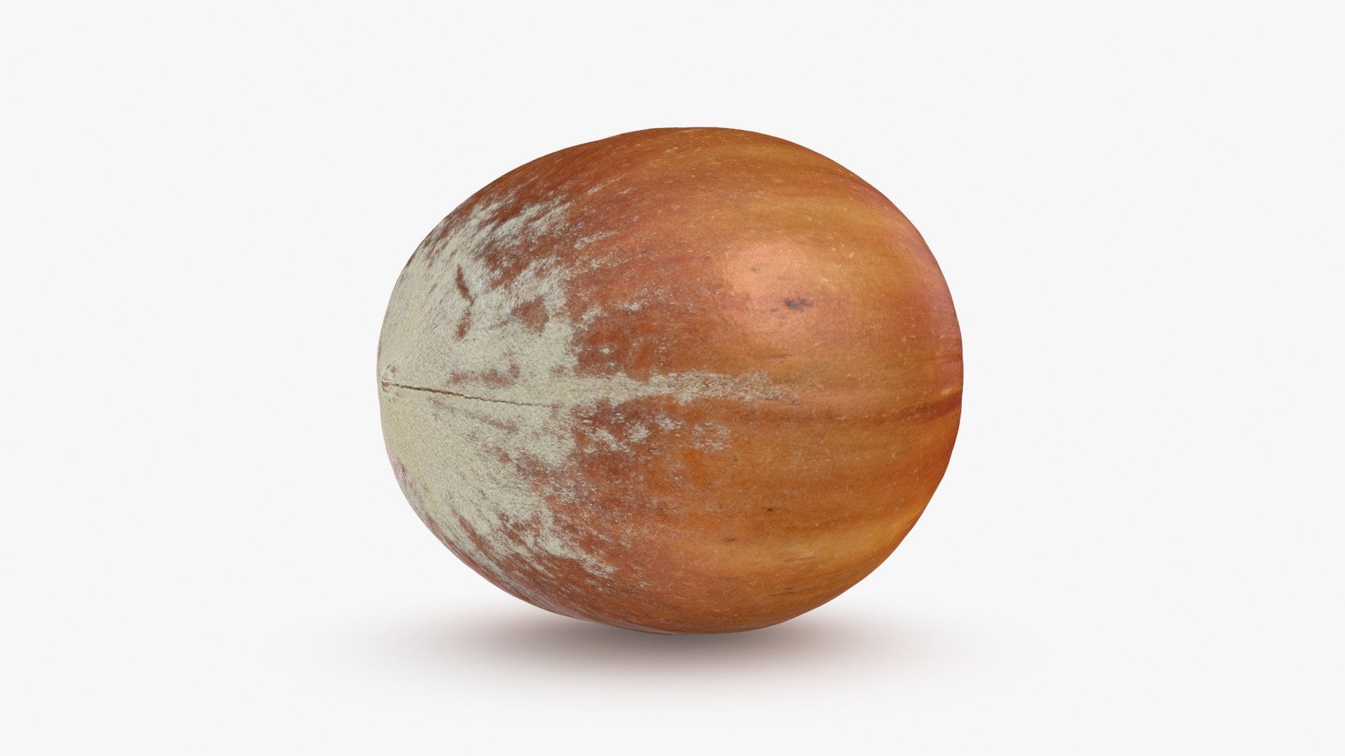 Hazelnut in Shell 04 3D model https://p.turbosquid.com/ts-thumb/oh/DHNqkW/ga/hazelnutshell04_b0016/jpg/1728475240/1920x1080/fit_q87/060fd3055aa54a86d2922f0f642cc2f698265c4c/hazelnutshell04_b0016.jpg