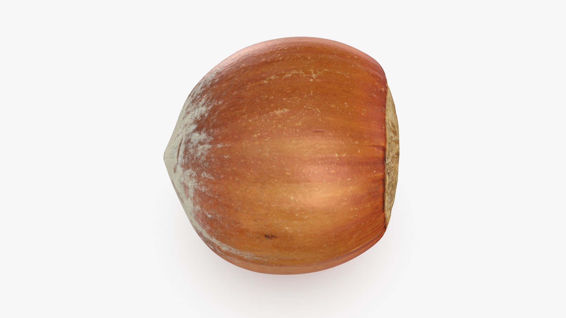 Hazelnut in Shell 04 3D model https://p.turbosquid.com/ts-thumb/oh/DHNqkW/za/hazelnutshell04_b0006/jpg/1728475236/1920x1080/fit_q87/cd27980913ae2f98897eb73c909ad602b5e515db/hazelnutshell04_b0006.jpg