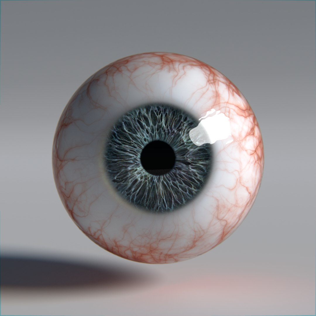 3D photorealistic human eyes model https://p.turbosquid.com/ts-thumb/oh/GVAbQu/ZGKpmuF0/r13/png/1533655685/1920x1080/fit_q87/11c7aa39119d90dfb58e840a333f2c196f8e1cf2/r13.jpg