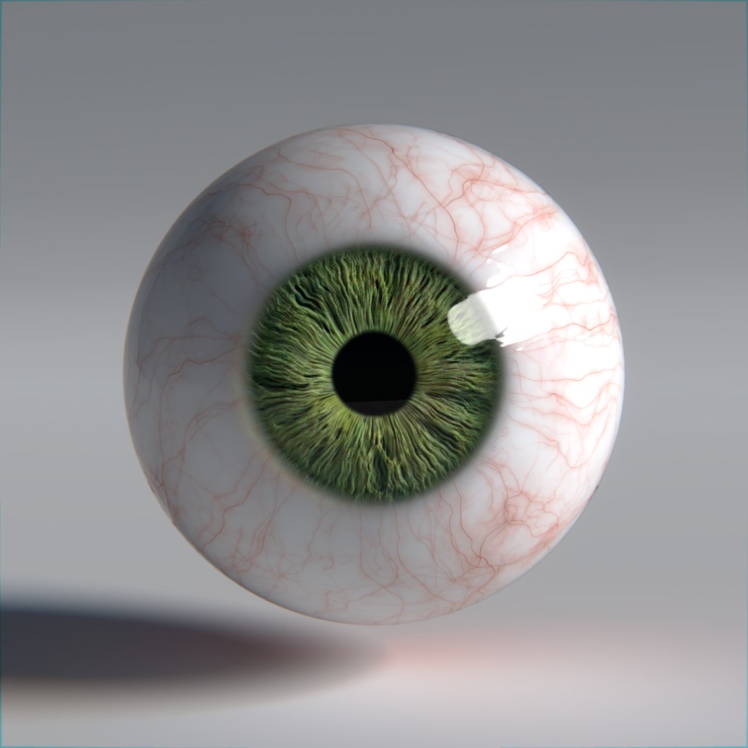 3D photorealistic human eyes model https://p.turbosquid.com/ts-thumb/oh/GVAbQu/k6Ip1odO/r15/png/1533655685/1920x1080/fit_q87/533f05b2e0193f7c182cd83a3289e451b5075ea0/r15.jpg