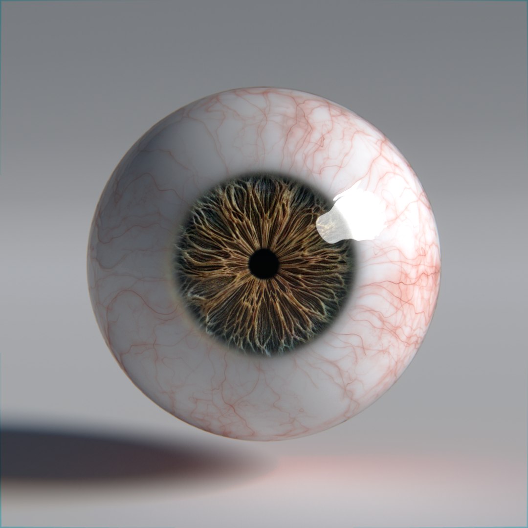 3D photorealistic human eyes model https://p.turbosquid.com/ts-thumb/oh/GVAbQu/oUXxvWFP/r7/png/1533655684/1920x1080/fit_q87/0a56454ab78be5088b69103ddc621fa9d491008a/r7.jpg