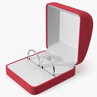 Engagement Rings Silver Color in Velvet Case