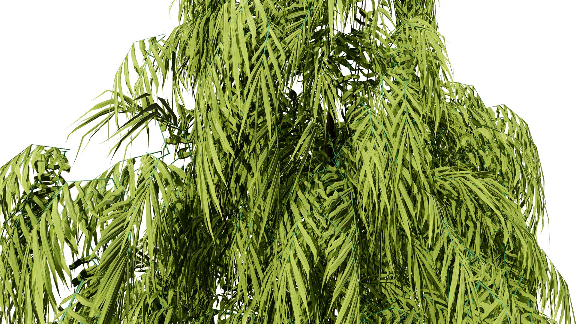 3D Henkel Yellowwood Tree 3D Model Collection https://p.turbosquid.com/ts-thumb/oh/k0vaQ5/hJ/22l/jpg/1755865186/1920x1080/fit_q87/1f8ffa1995763e697fb71b922ef0f75e9fdfb252/22l.jpg