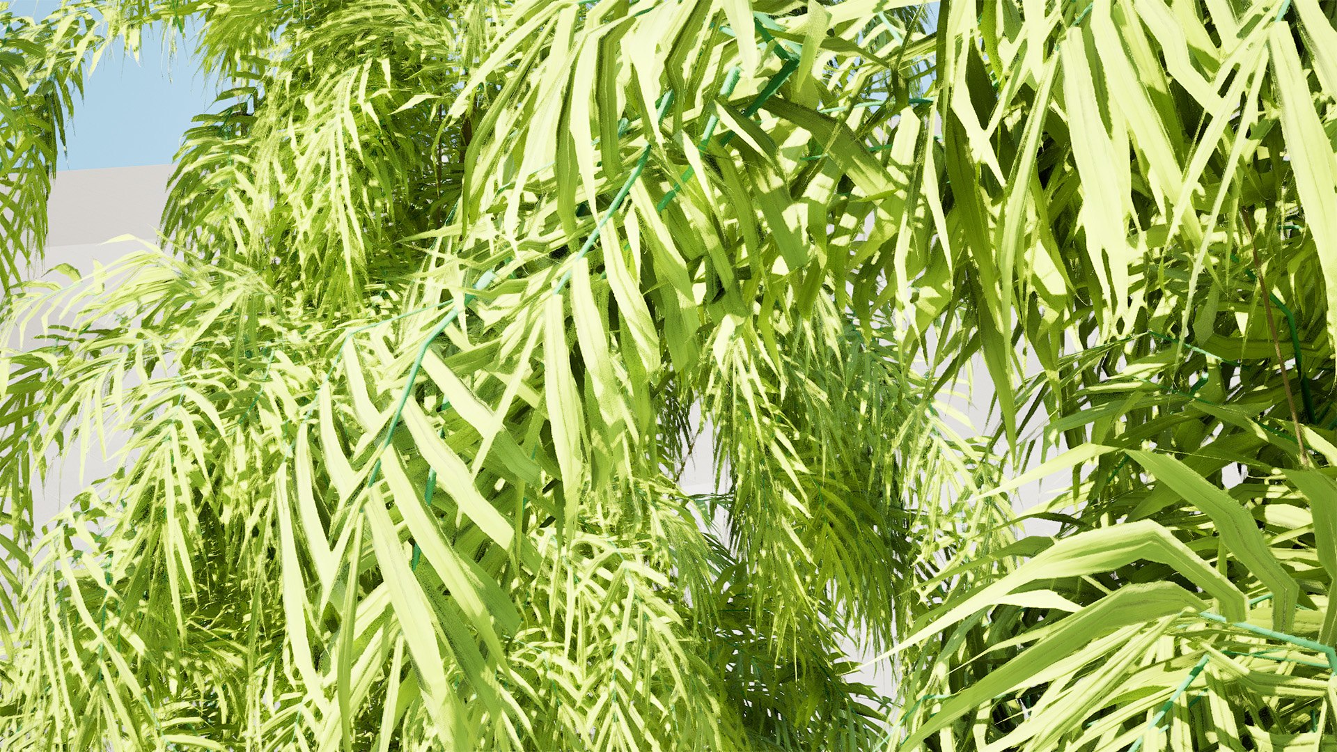 3D Henkel Yellowwood Tree 3D Model Collection https://p.turbosquid.com/ts-thumb/oh/k0vaQ5/oT/highresscreenshot00001/jpg/1755865196/1920x1080/fit_q87/fd27a092a4fa9e536d9c16b15890d7234398fe79/highresscreenshot00001.jpg