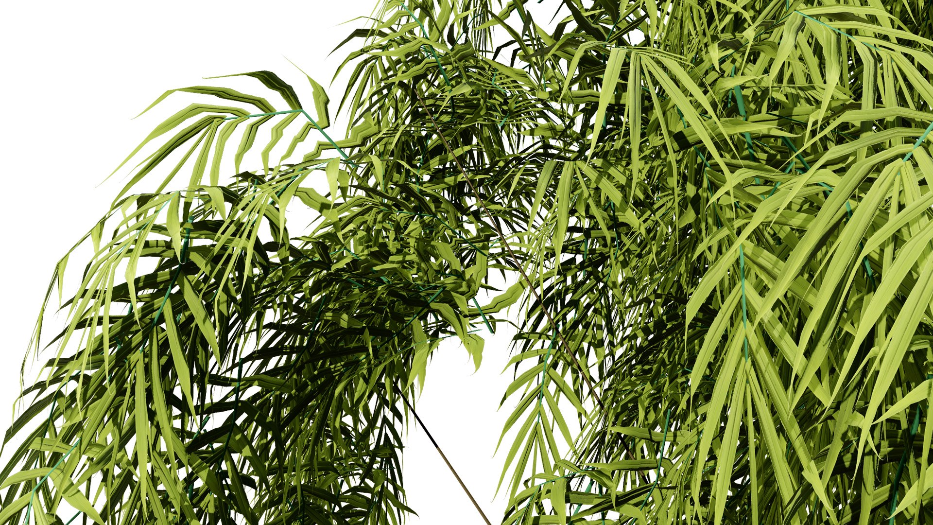 3D Henkel Yellowwood Tree 3D Model Collection https://p.turbosquid.com/ts-thumb/oh/k0vaQ5/to/34l/jpg/1755865184/1920x1080/fit_q87/0a97ee6bcb191546c2ec426479b1beb7989cac72/34l.jpg