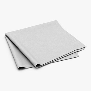 3D Fabric Folded Napkin model