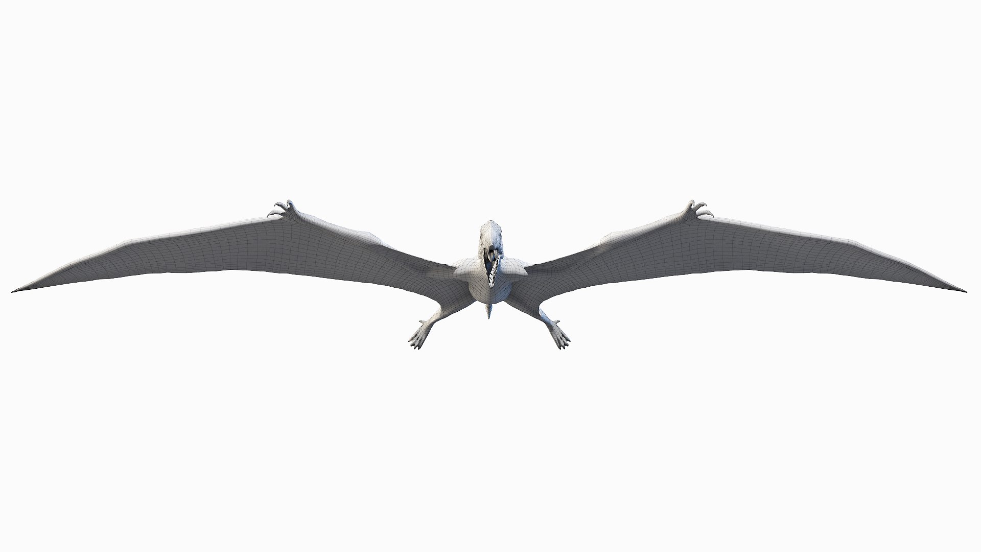 Rhamphorhynchus 3D - TurboSquid 1721703