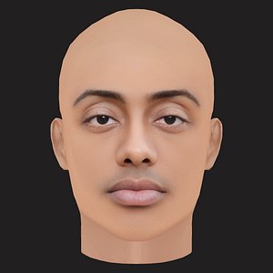 Low Poly Amine Rapper Head