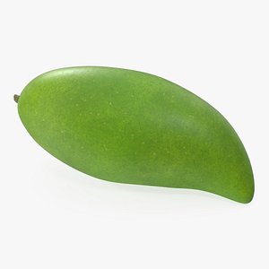 Long Green Mango