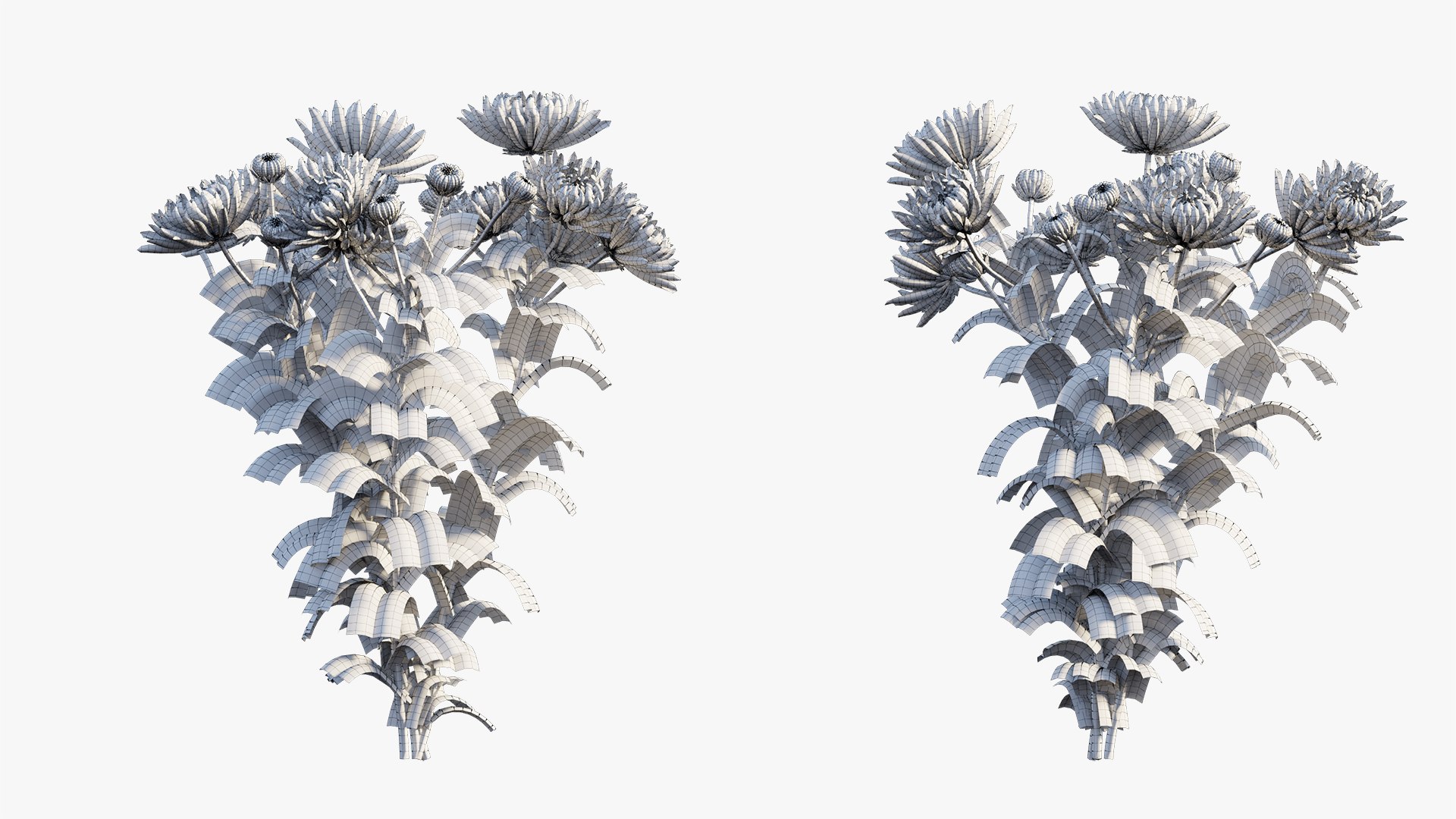 3D chrysanthemum flower plant set model https://p.turbosquid.com/ts-thumb/oh/zbKL3F/jLjesKtS/6/jpg/1603695774/1920x1080/fit_q87/6dc9ef6a56cf418632474b839c9dcdaa149e3dc2/6.jpg
