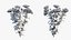 Chrysanthemum flower Plant set 04