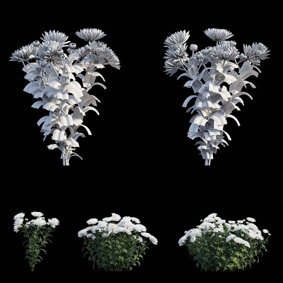 3D chrysanthemum flower plant set model https://p.turbosquid.com/ts-thumb/oh/zbKL3F/wX4XlF90/view05/jpg/1586263131/1920x1080/fit_q87/254fe3a7d45c2d600b5a634a84168598805e703c/view05.jpg