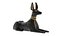 Egyptian God Anubis Dog