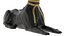 Egyptian God Anubis Dog