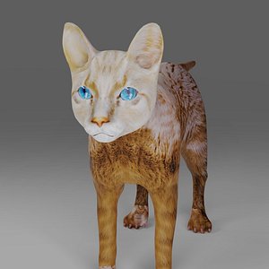 Cat White NO Rigged in Blender 3D model
