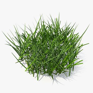 Realistic Patch of Grass