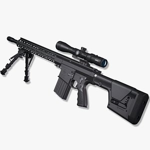 AR-10 Custom-01