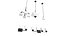 Clifton Heights Chandelier  by Progress   Lighting