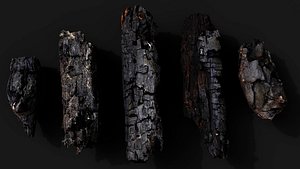 3D model wood debris burned chunks detail PBR photogrammetry
