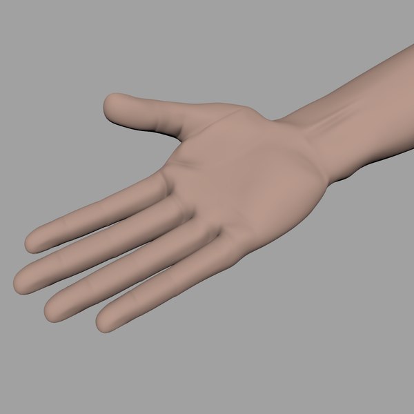 3D hand topology model