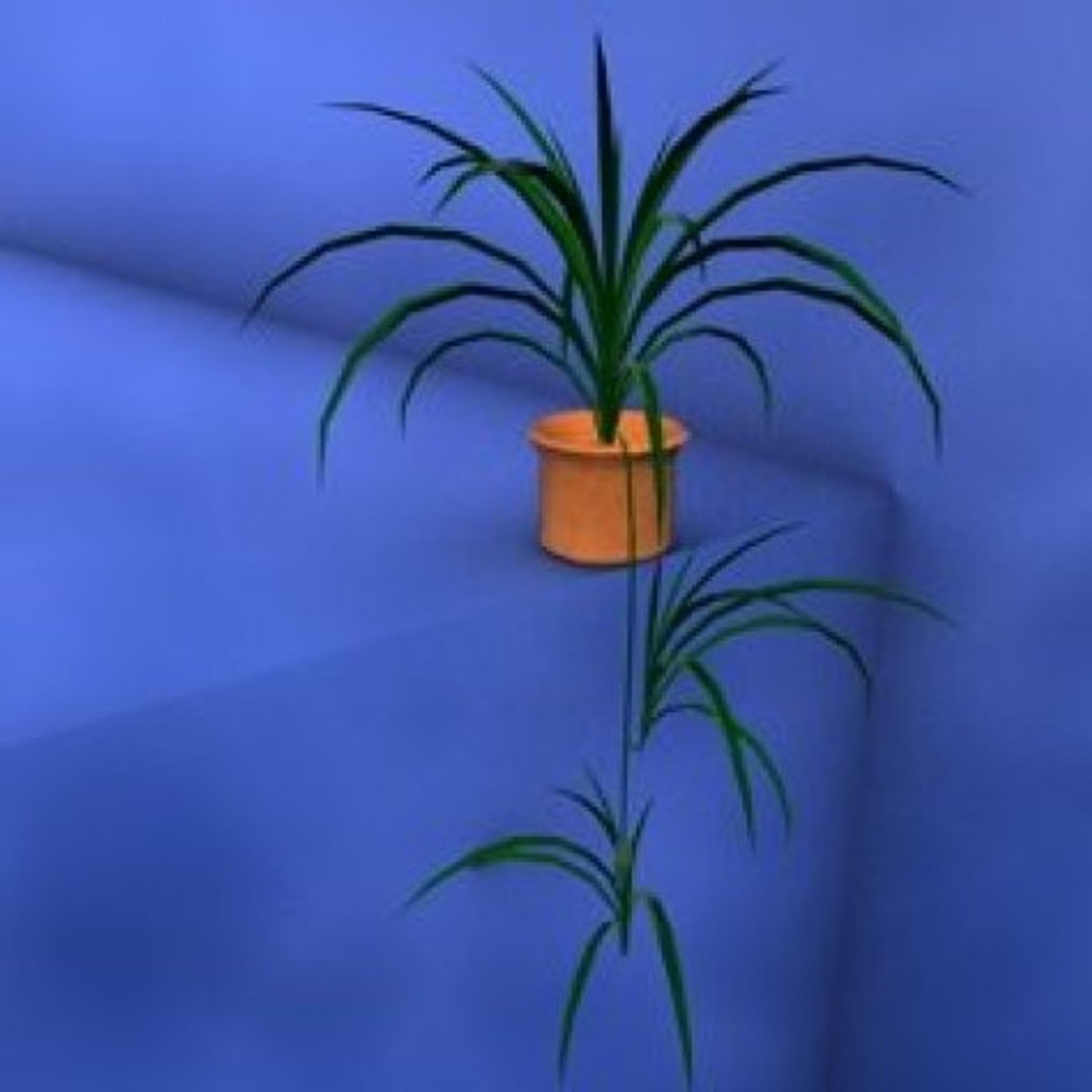 3d library model https://p.turbosquid.com/ts-thumb/oi/wCyoDz/rX6B0hhQ/haengepflanze1/jpg/1372868806/1920x1080/fit_q87/02b0b33e31f59c6de858ecacc9232eb50dd4e40b/haengepflanze1.jpg