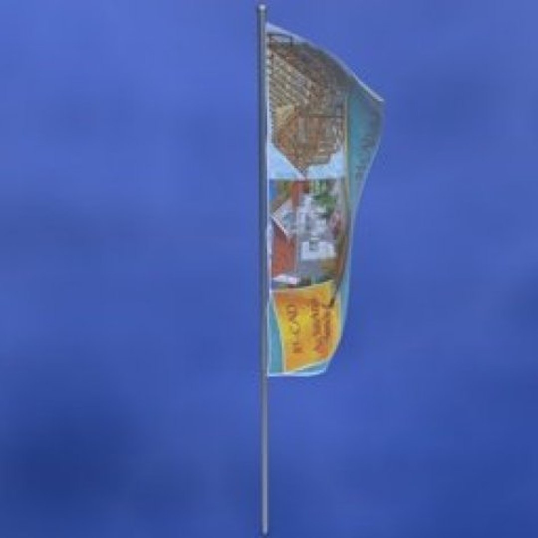 3d library model https://p.turbosquid.com/ts-thumb/oi/wCyoDz/vidgIfRw/fahne/jpg/1372866355/1920x1080/fit_q87/1b839ee650b2157b060a5956c55c366f65948e03/fahne.jpg