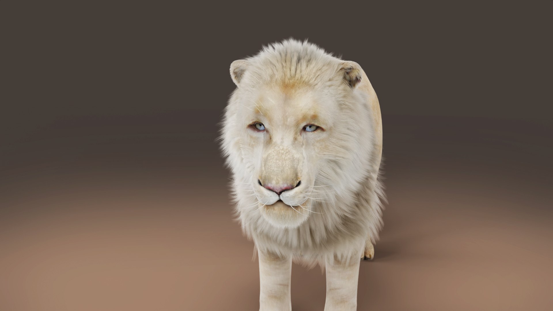 3D 3D Fur White NO Lion Rigged - TurboSquid 2033052