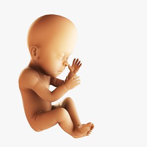 obj infant fetus baby