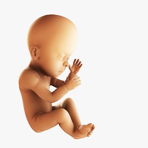 Newborn Baby