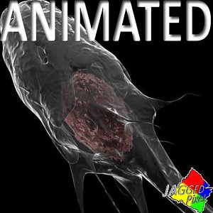 protist 1 3d model