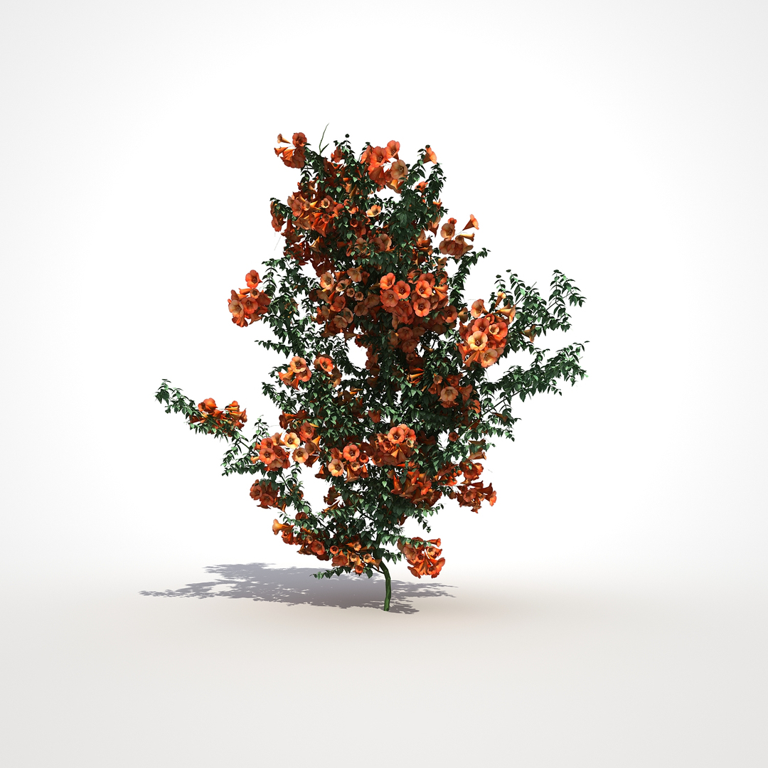 3d 2 flower plant https://p.turbosquid.com/ts-thumb/oj/747C7a/hddBTzEr/02/jpg/1467913906/1920x1080/turn_fit_q99/cc0872bd97378610fa1a9a49d58ac6585eb3a390/02-1.jpg
