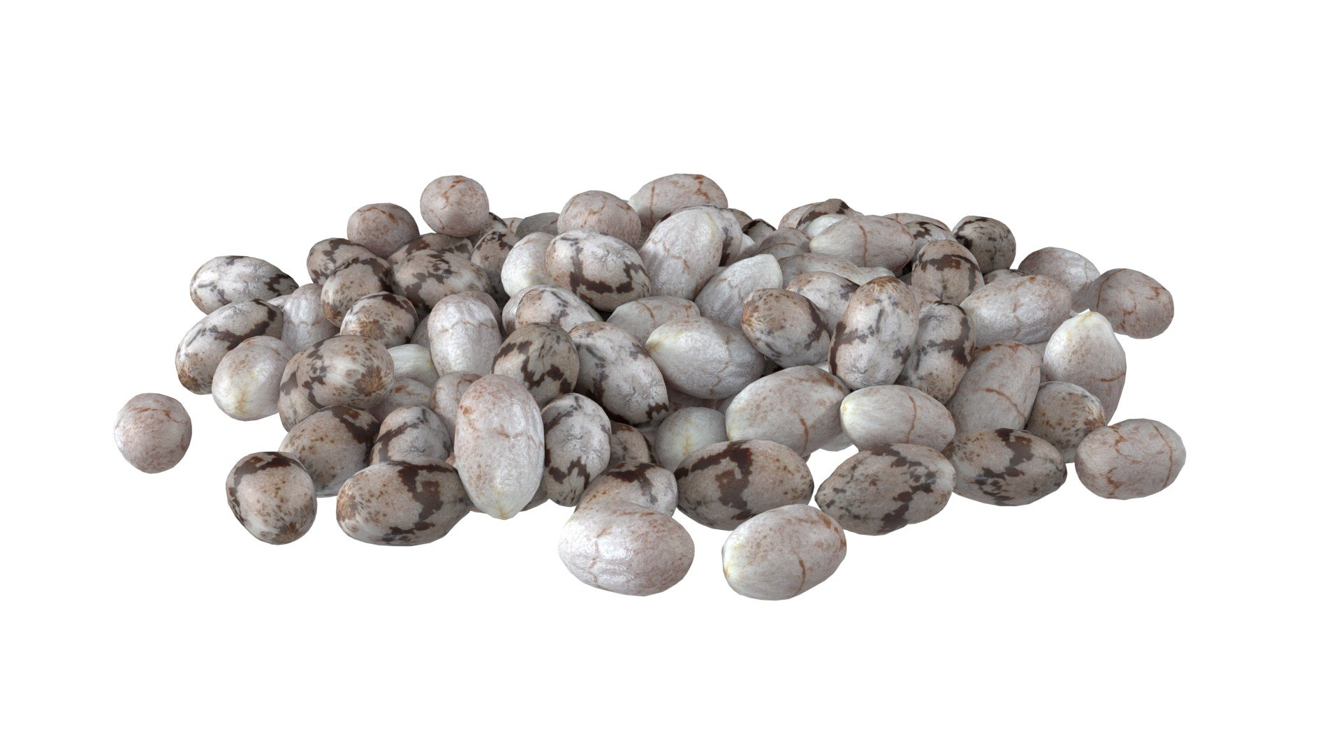 Chia seeds pile model https://p.turbosquid.com/ts-thumb/oj/BlkSAw/Q0/5/jpg/1747131920/1920x1080/fit_q87/5fd0bff51da30f835776fbce6e195ec32e8379b9/5.jpg