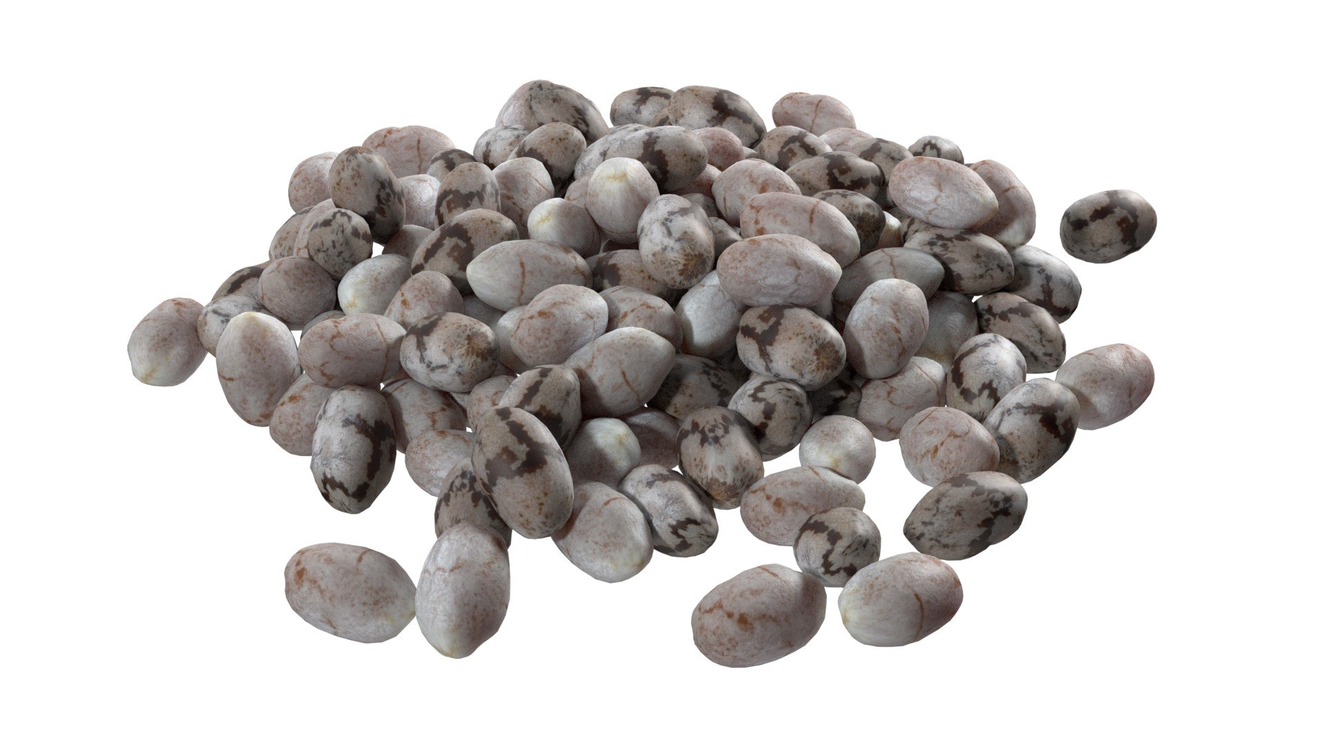 Chia seeds pile model https://p.turbosquid.com/ts-thumb/oj/BlkSAw/wF/1/jpg/1747131914/1920x1080/fit_q87/5400f15e0718ef0802d0e3bad18d583f20c17307/1.jpg
