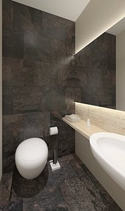 Toilet with stone tiles