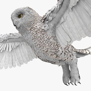 Snowy Owl with Spread Wings Rigged For Blender